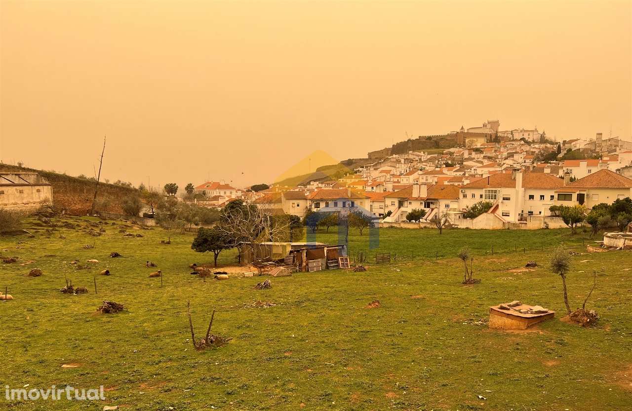 Quintinha  Venda em Estremoz (Santa Maria e Santo André),Estremoz - Grande imagem: 4/10