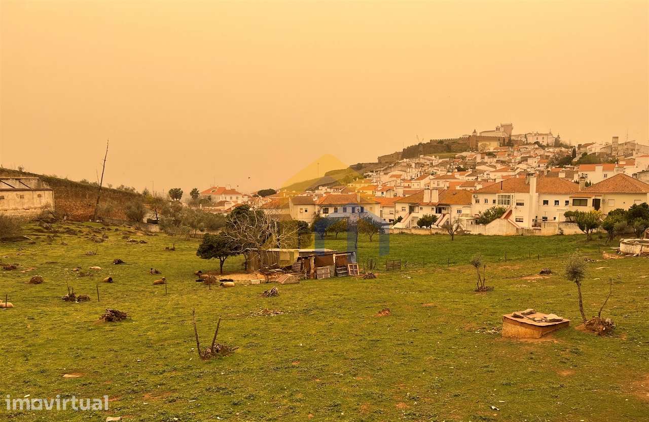 Quintinha  Venda em Estremoz (Santa Maria e Santo André),Estremoz - Grande imagem: 4/10