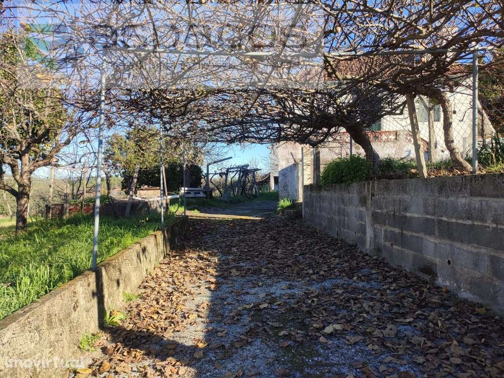 Moradia V4 com terreno - Grande imagem: 5/50