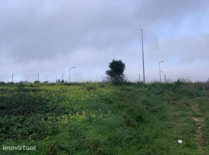 Terreno  Venda em Sintra (Santa Maria e São Miguel, São Martinho e São - Grande imagem: 4/13
