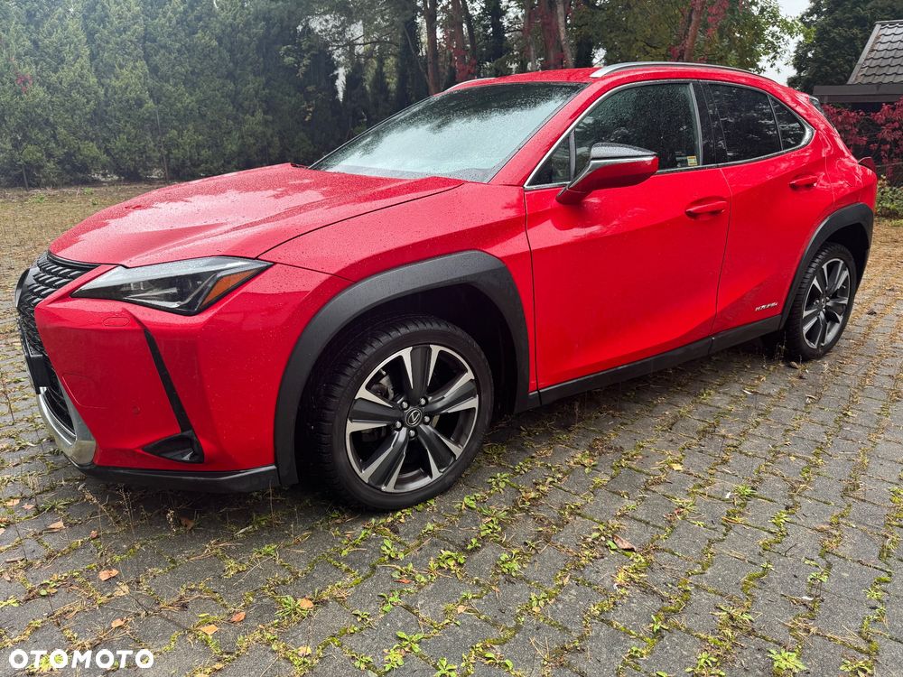 Lexus UX 250h GPF Business Edition 2WD - 23