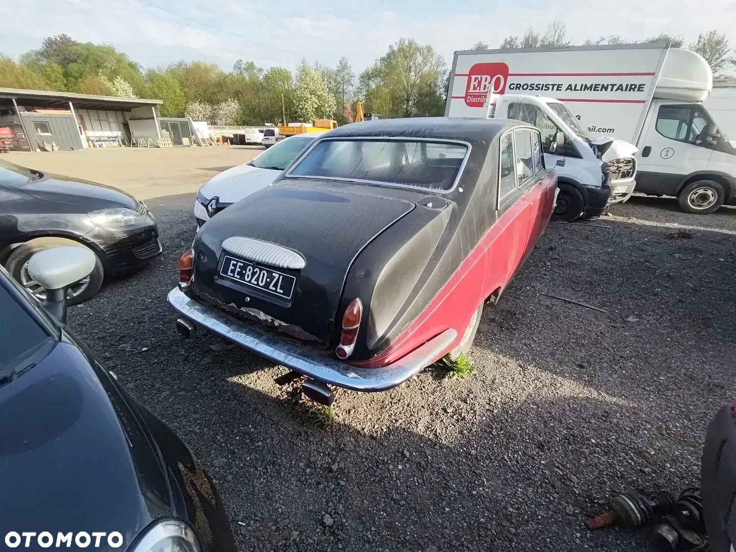 Jaguar Inny - 6