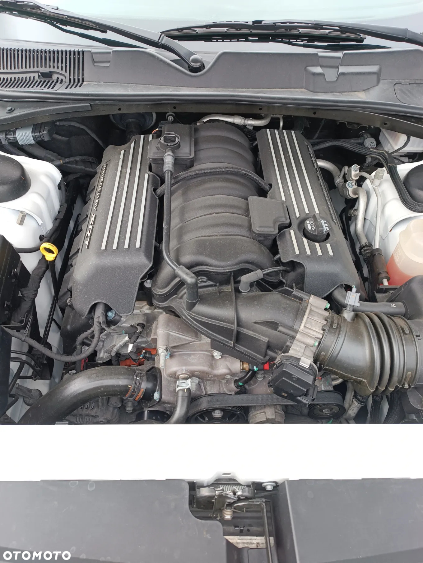 Dodge Challenger 6.4 Scat Pack - 18