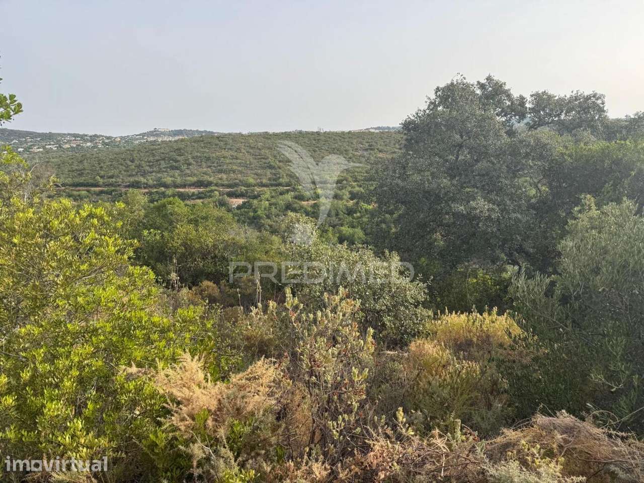 Terreno Rustico Machados São Brás de Alportel - Grande imagem: 4/5