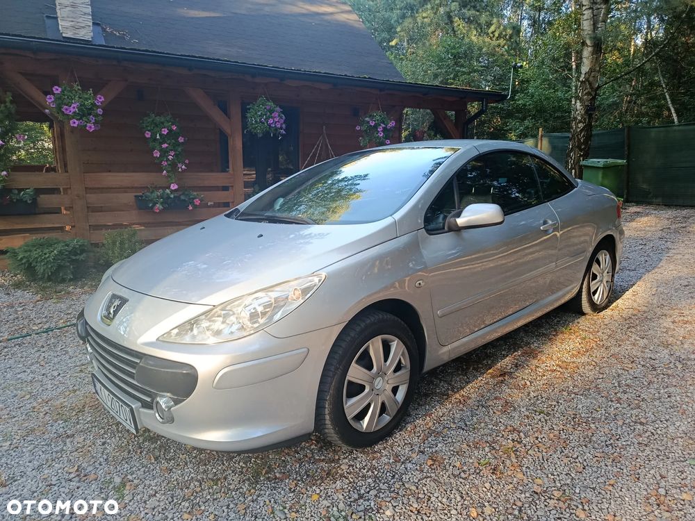 Peugeot 307 CC - 31