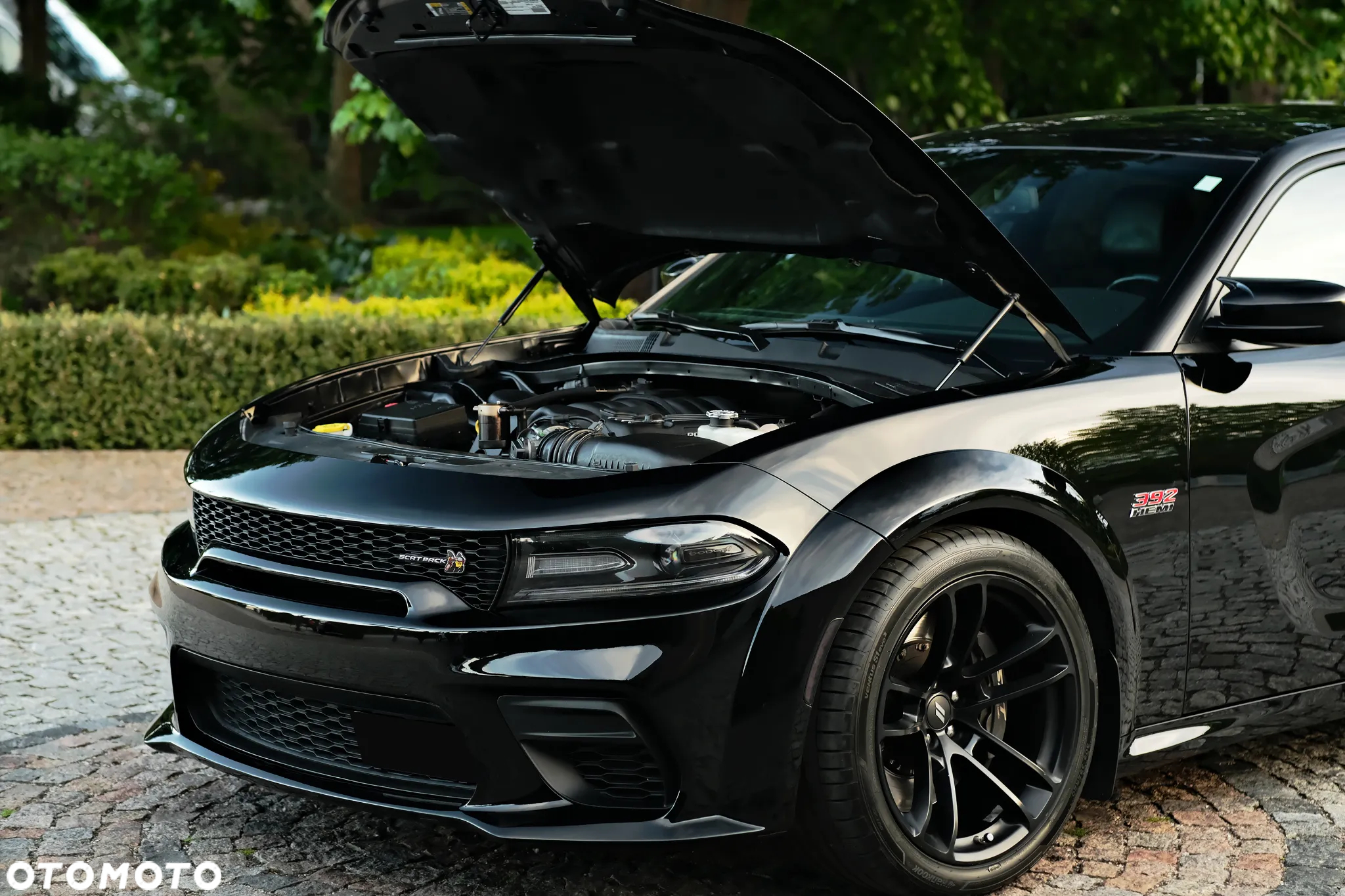 Dodge Charger 6.4 Scat Pack Widebody - 2