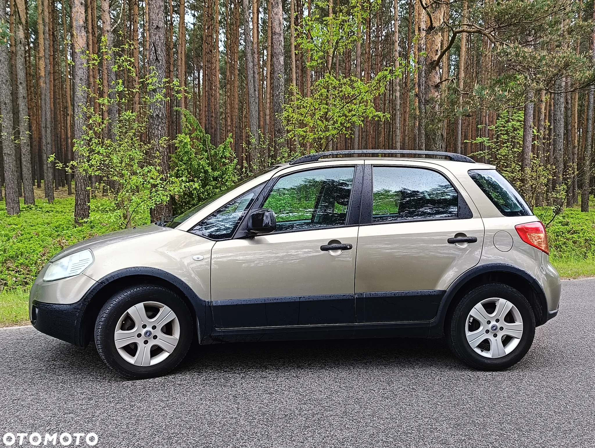 Fiat Sedici - 15