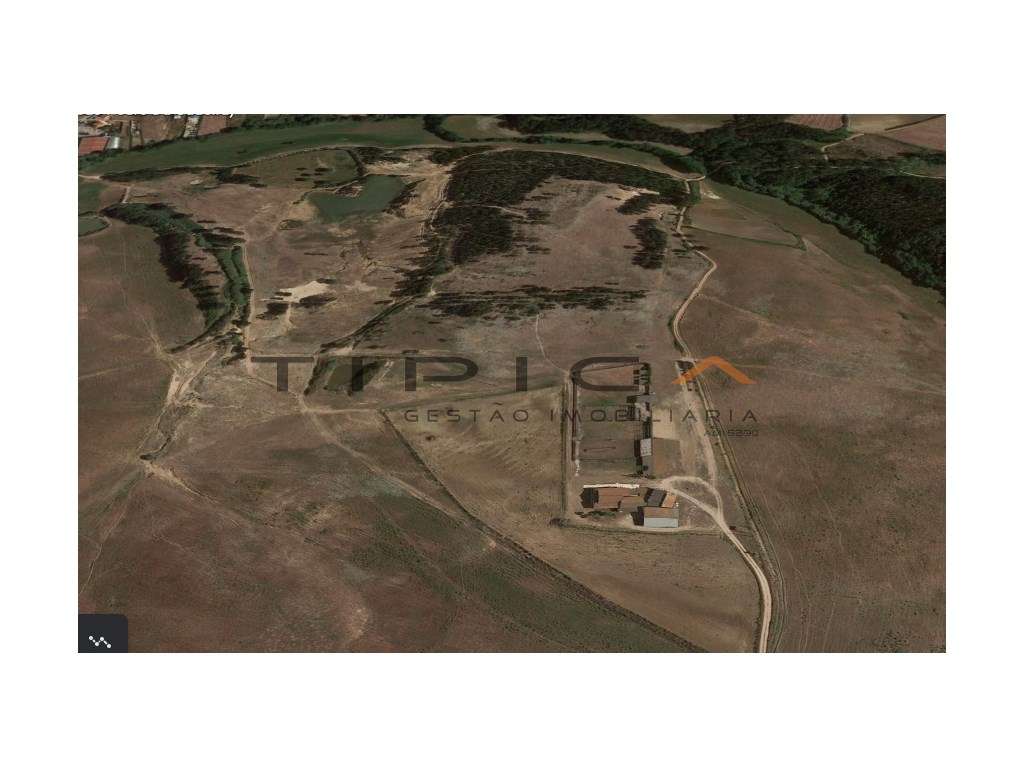 Terreno para indústria extrativa - Grande imagem: 4/7
