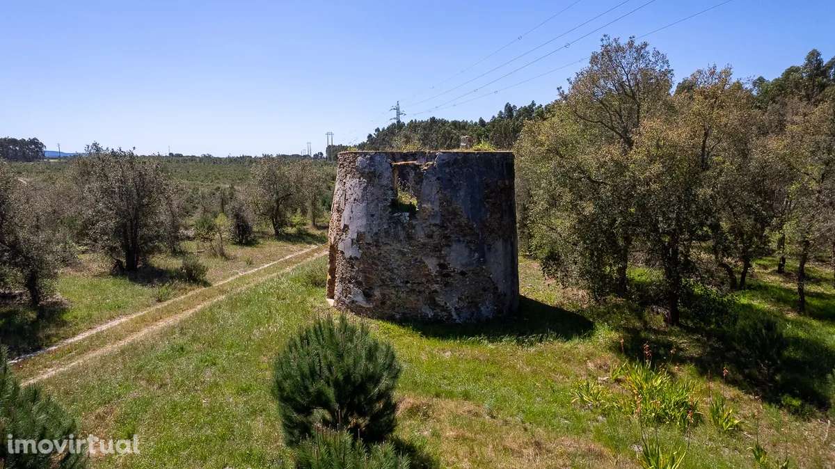 Herdade Agrícola com potencial turístico - Grande imagem: 2/10