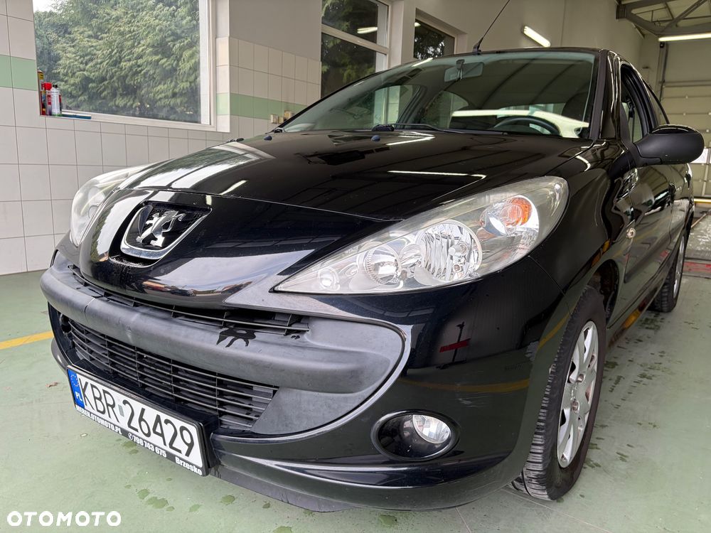 Peugeot 206 plus 60 - 9