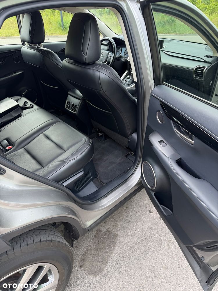 Lexus NX - 12