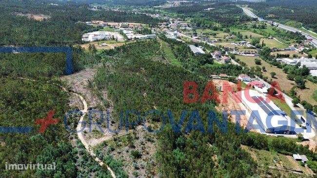 Terreno Industrial Premium  Zona Industrial do Moinho do Calhau | C... - Grande imagem: 4/5