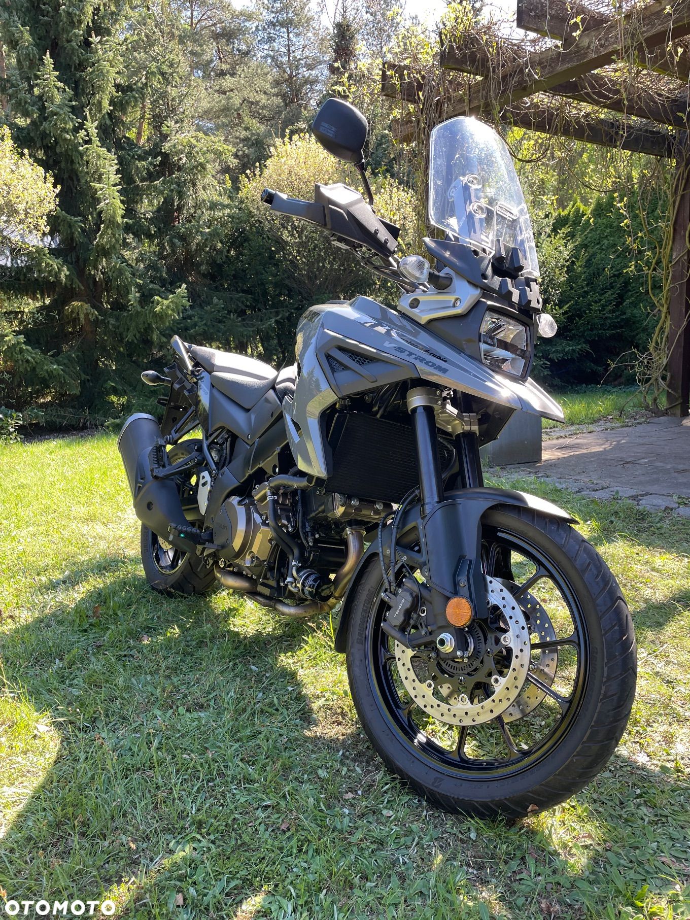 Suzuki DL