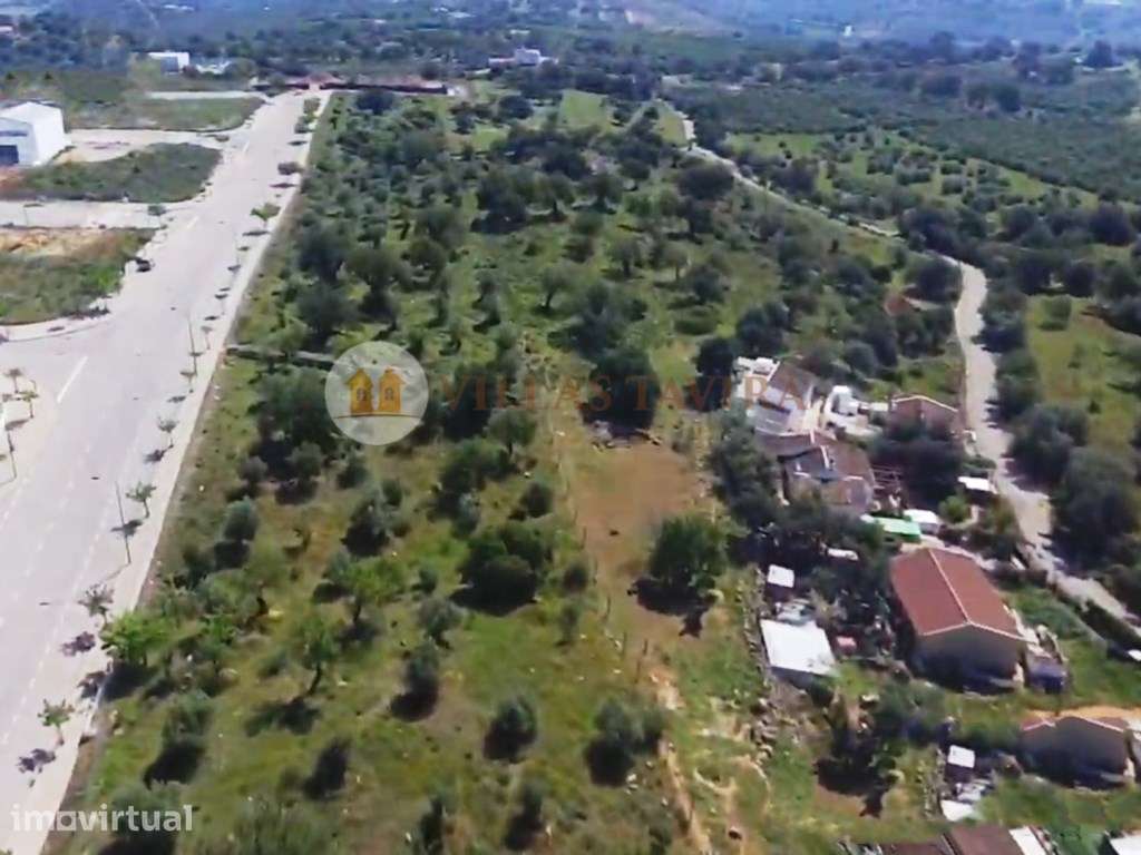 Quinta com ruínas com 27.000 m² - Tavira. - Grande imagem: 5/9