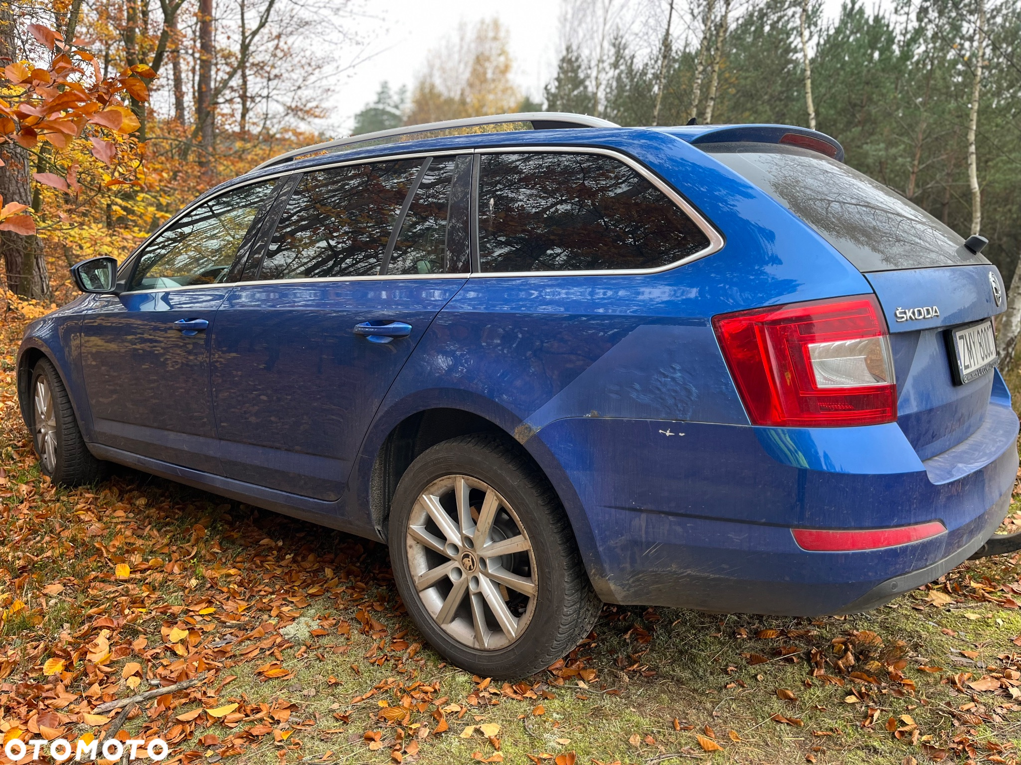 Skoda Octavia 2.0 TDI 4x4 Elegance - 7