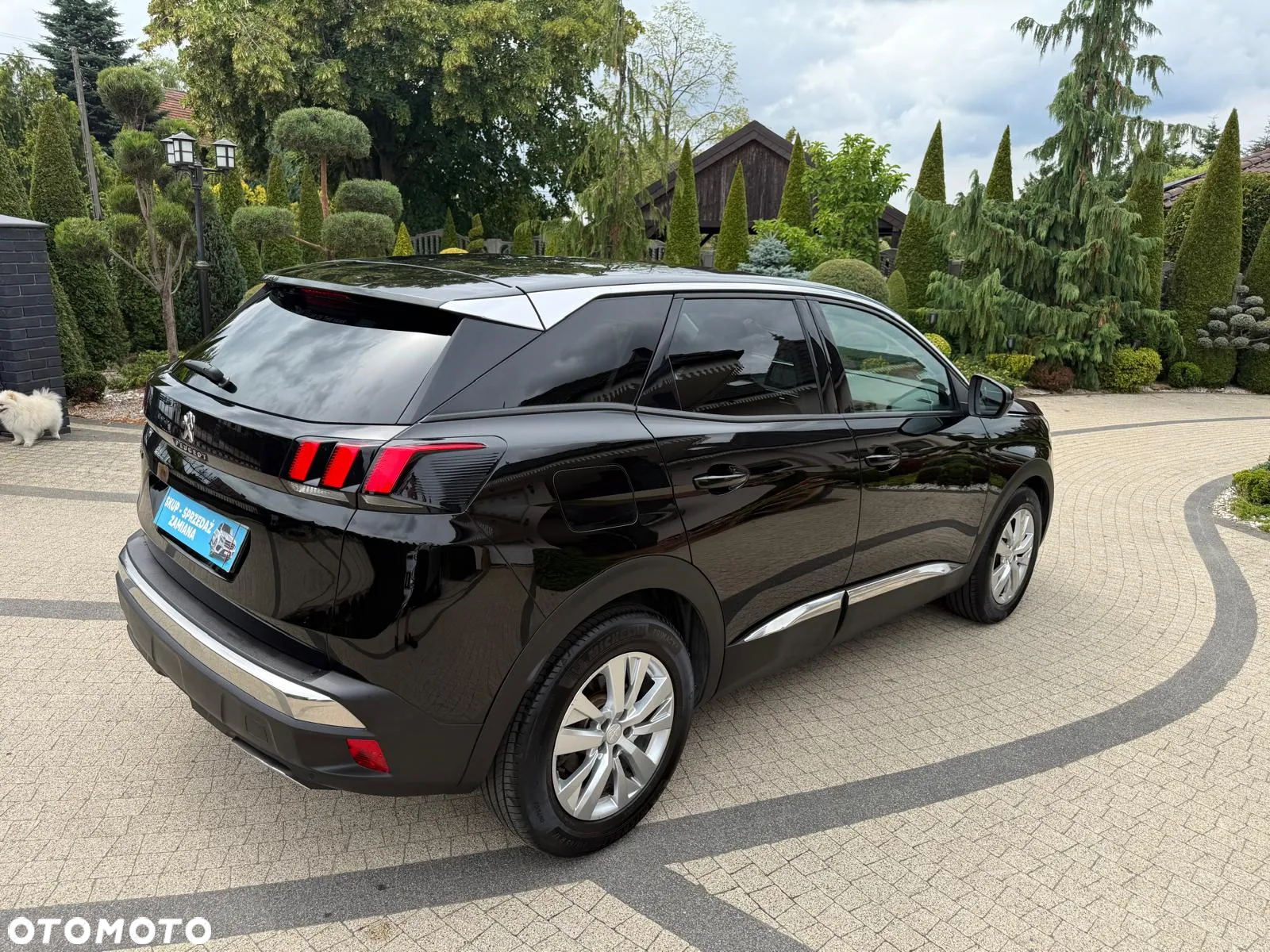 Peugeot 3008 1.5 BlueHDi Active Pack S&S - 28