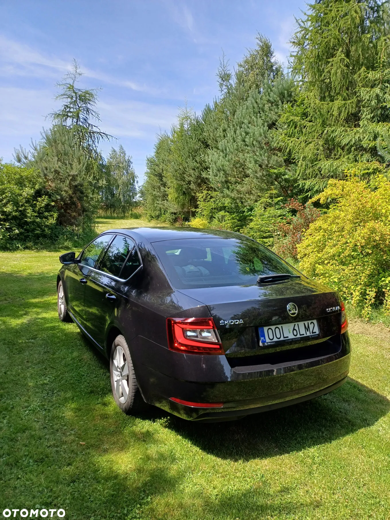 Skoda Octavia 1.6 TDI SCR Style - 16