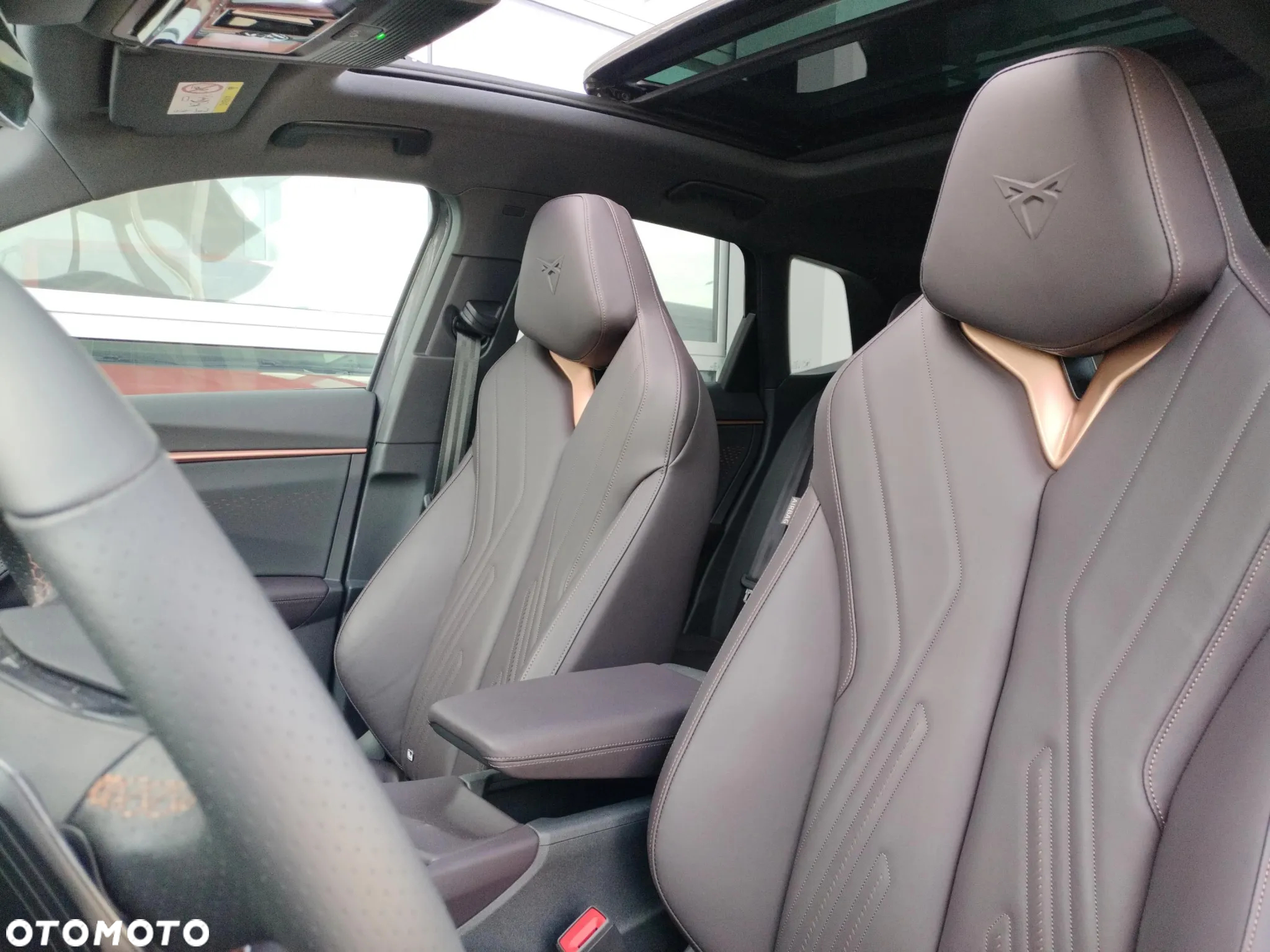 Cupra Terramar 2.0 TSI 4Drive VZ DSG - 13