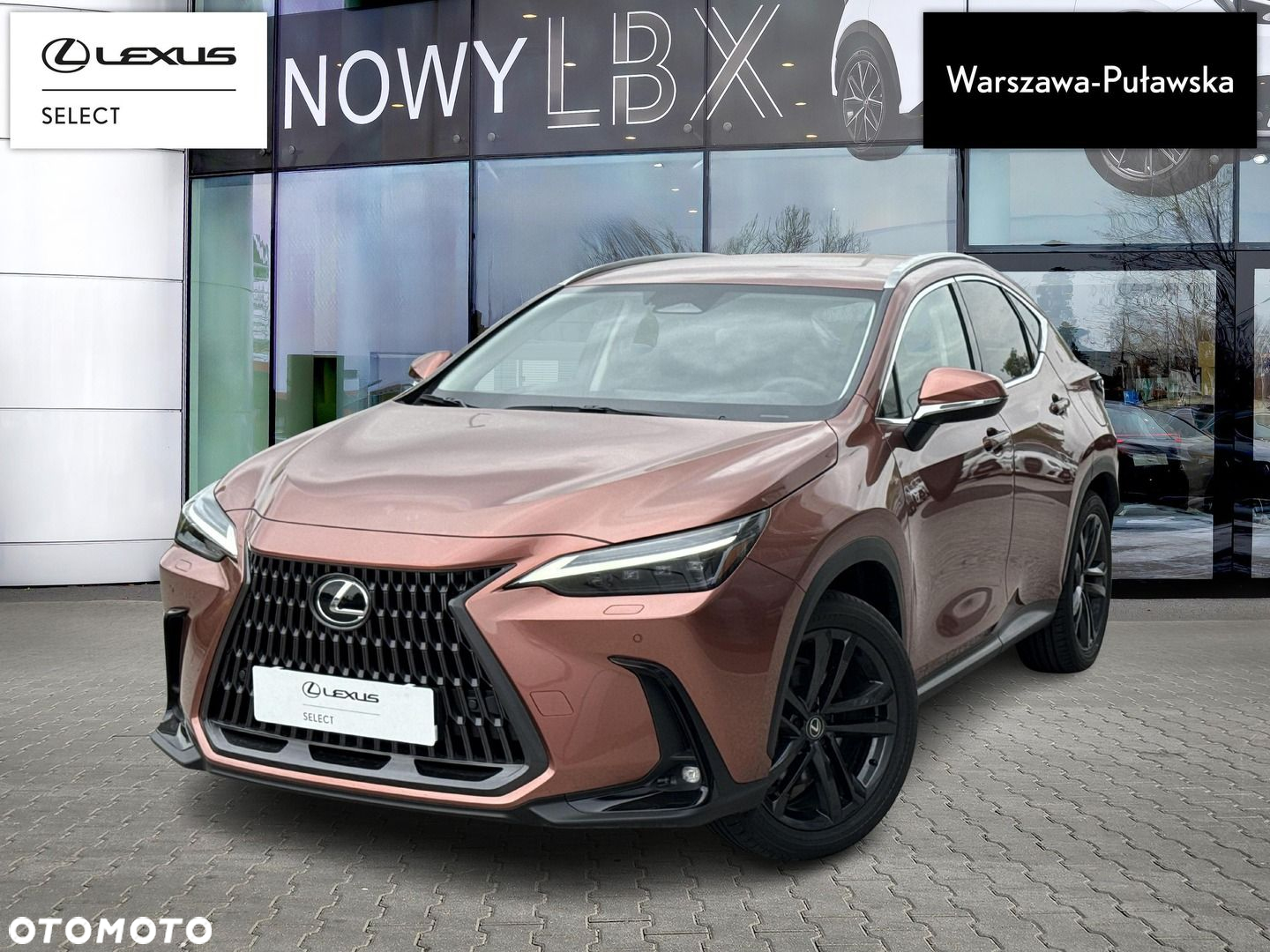 Lexus NX - 2