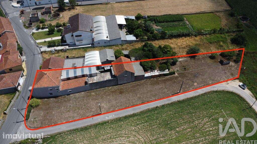 Casa / Villa T4 em Requeixo, Nossa Senhora de Fátima e Nariz de 150 m2 - Grande imagem: 4/38