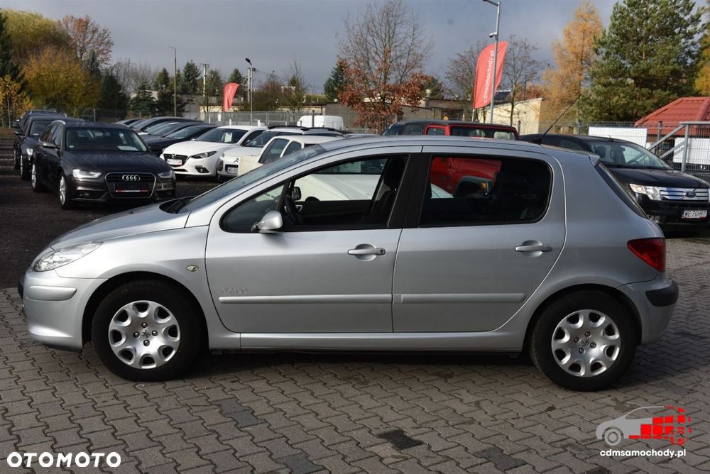 Peugeot 307 - 7