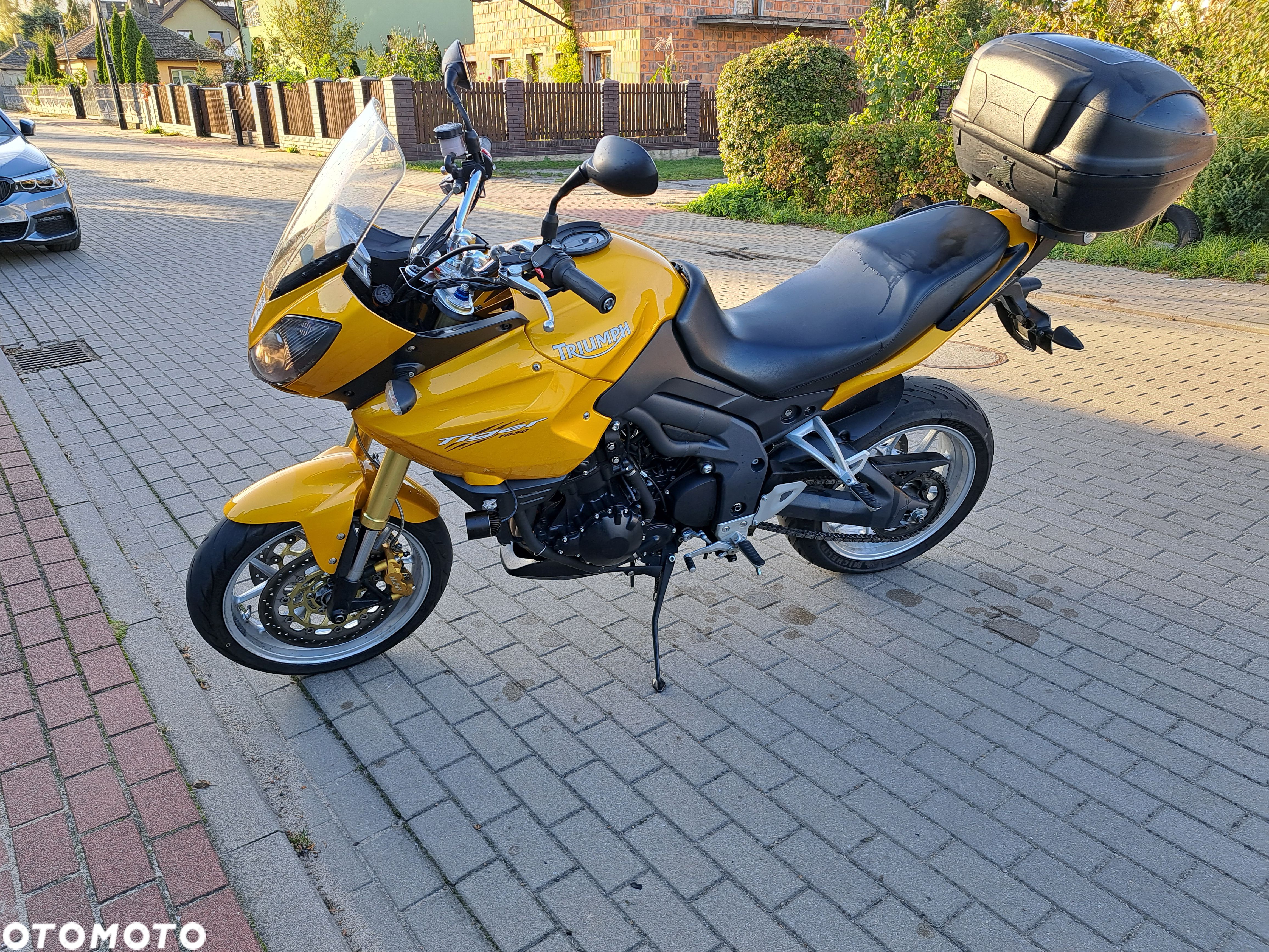 Triumph Tiger - 1