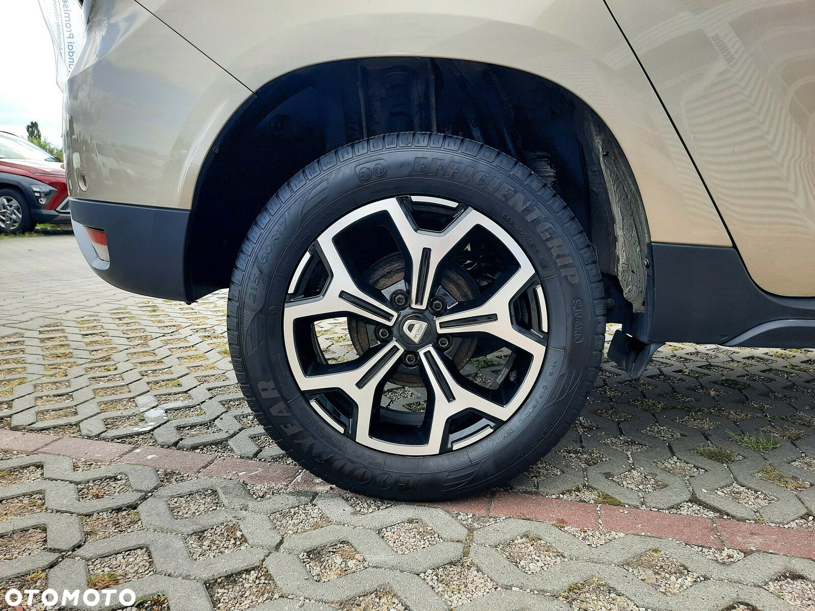 Dacia Duster 1.3 TCe FAP Prestige - 20