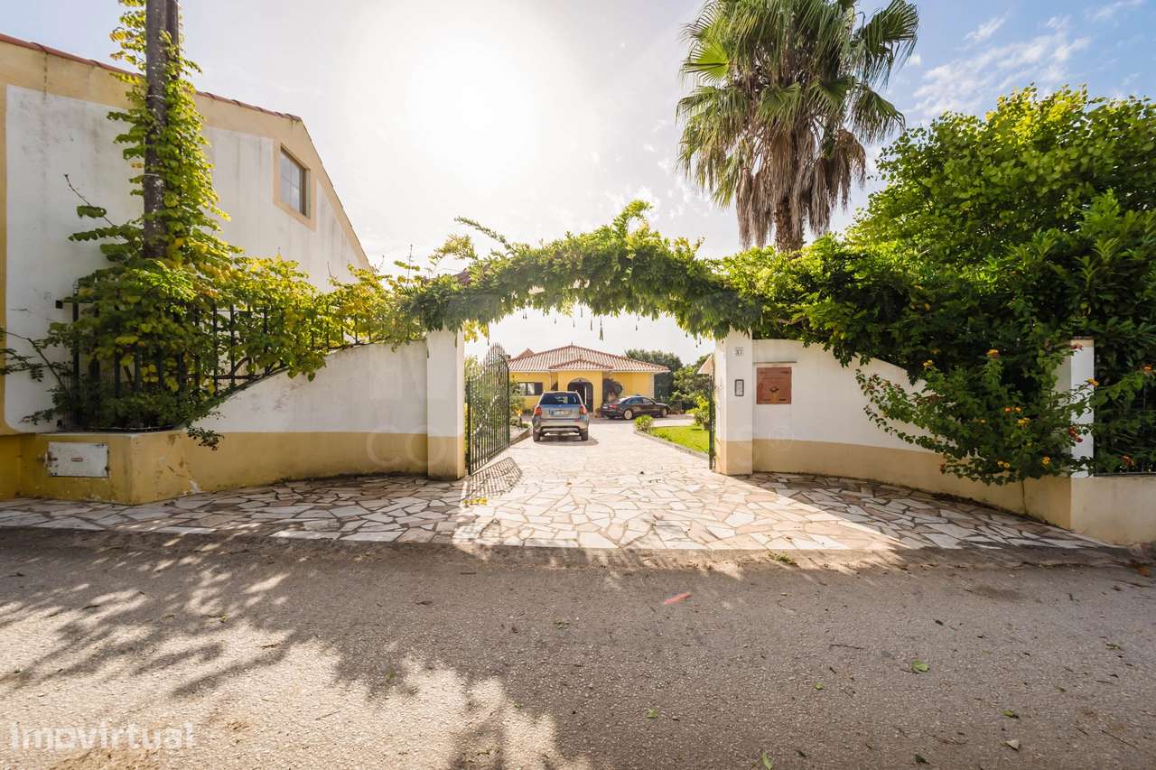 Propriedade única, a apenas 2 km de Alcobaça, com mais de 30.000 m²... - Grande imagem: 2/50