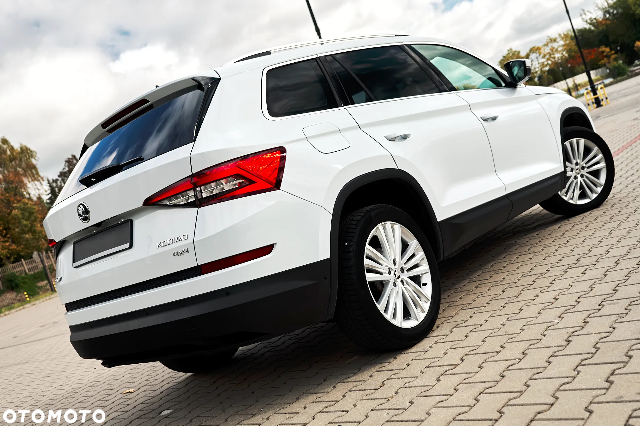 Skoda Kodiaq 2.0 TDI 4x4 Business DSG - 5