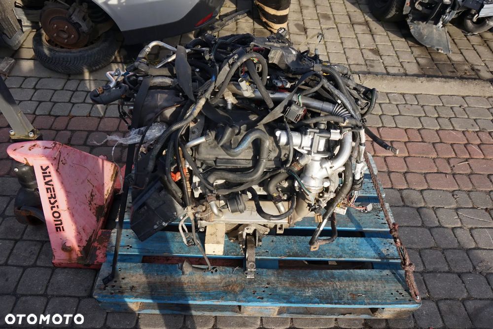 SILNIK GOŁY SŁUPEK LAGUNA III PH1 3.0 DCI V6 235KM V9X891 FILM 217TKM RENAULT 2007-2012 - 15