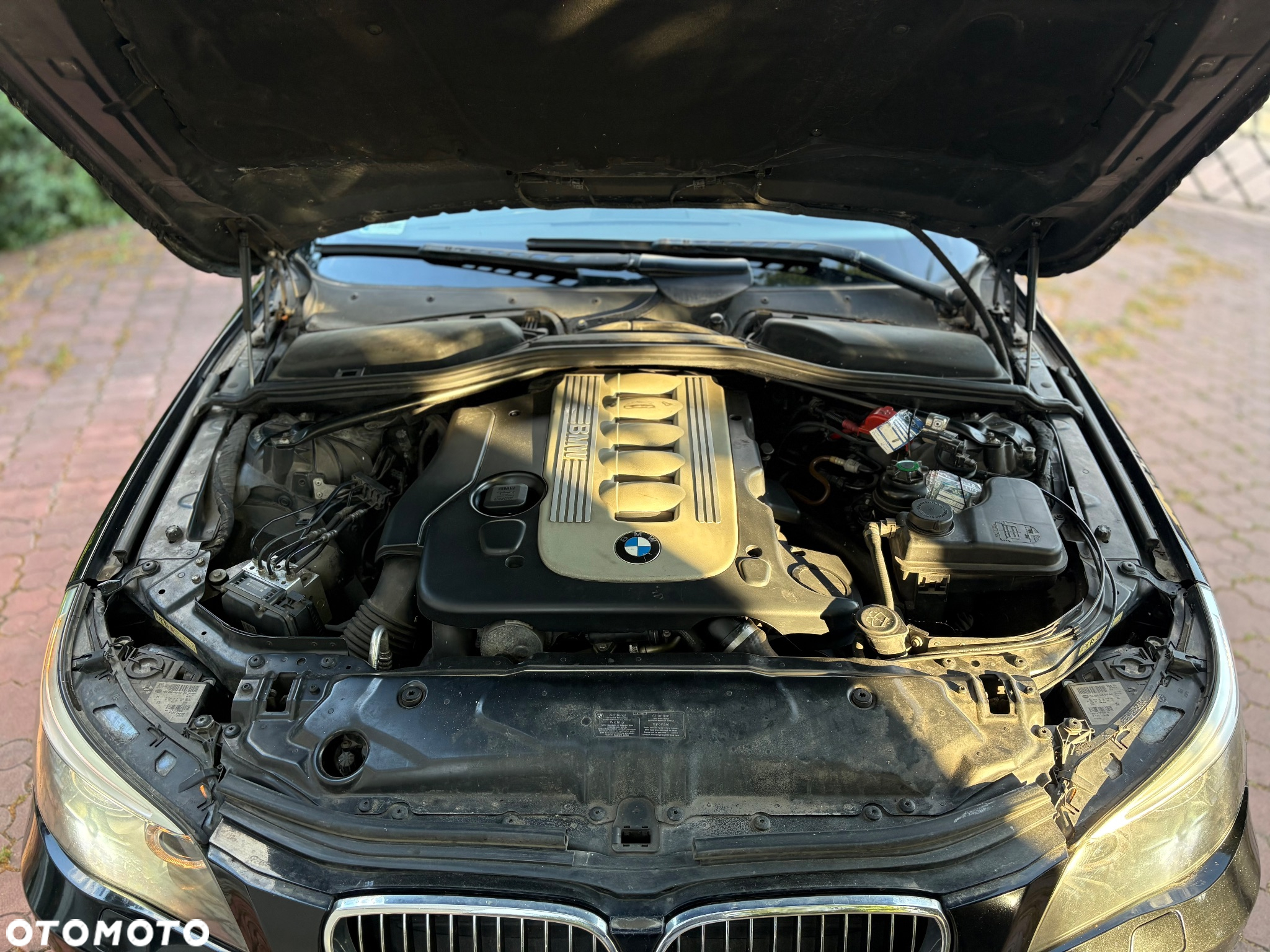 BMW Seria 5 525d - 12