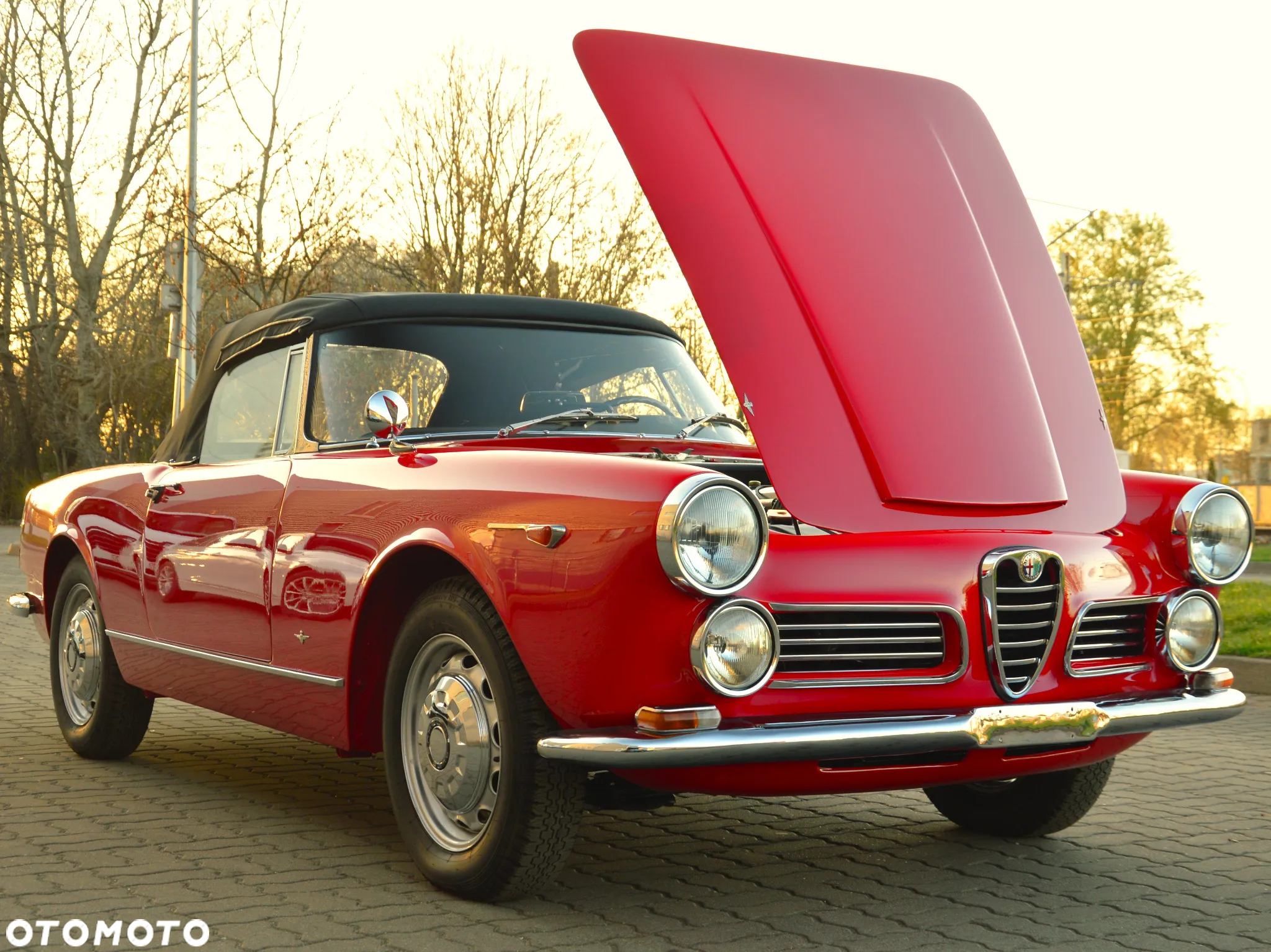 Alfa Romeo Inny - 16