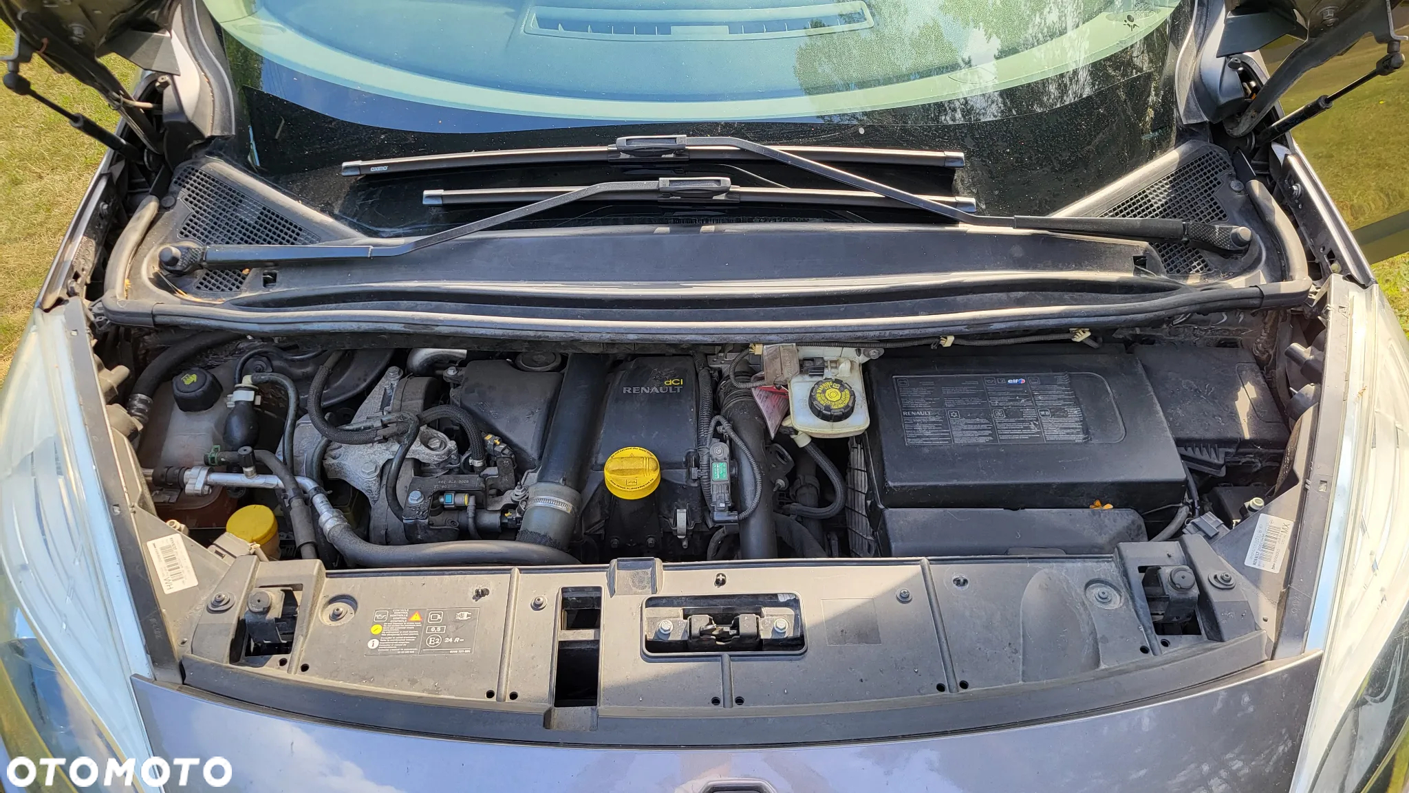 Renault Scenic - 19