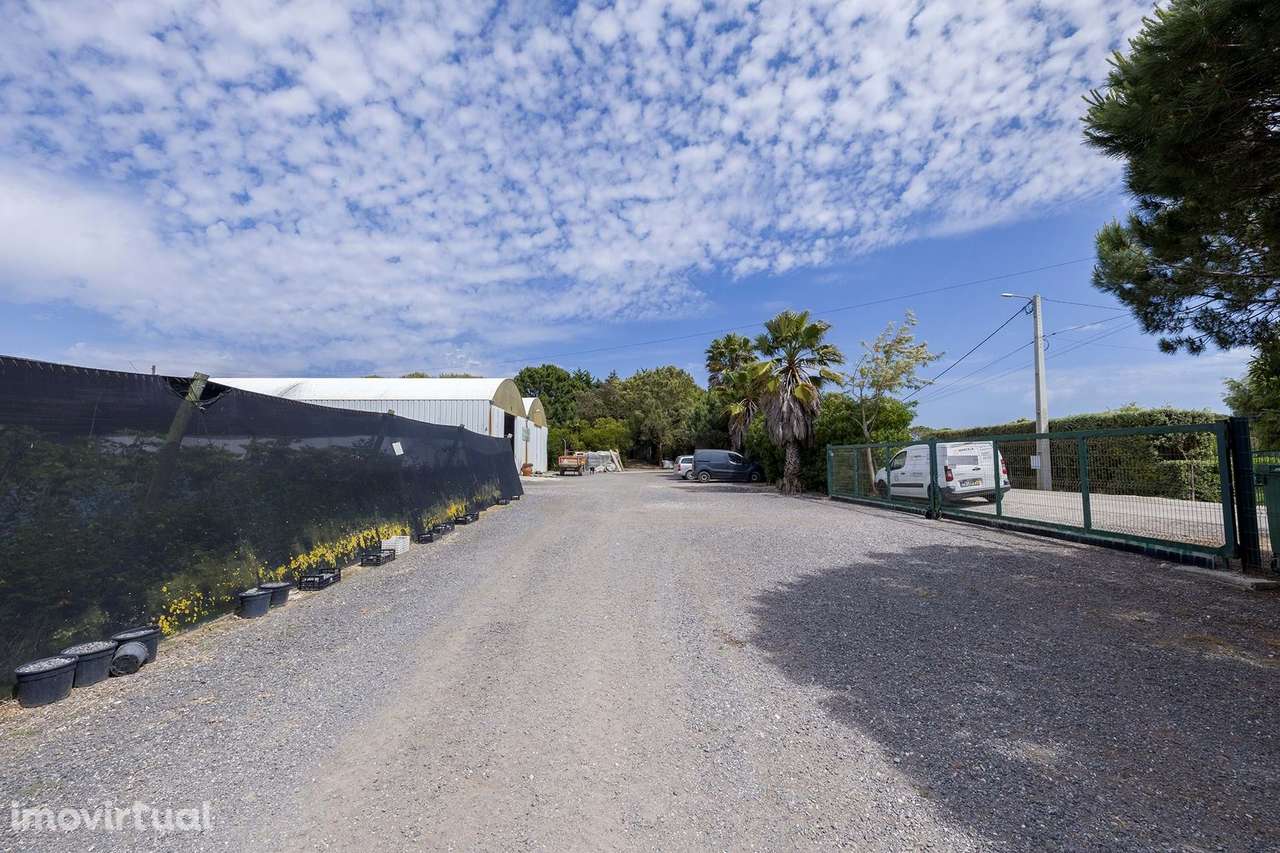 EMPRESA AGRÍCOLA PARA VENDA NO PARQUE NATURAL - Grande imagem: 5/17