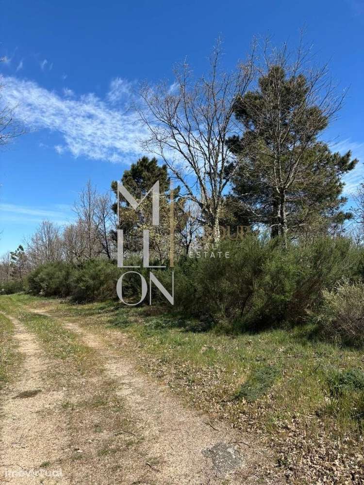 Terreno com 3 hectares às portas da cidade da Guarda - Grande imagem: 3/7