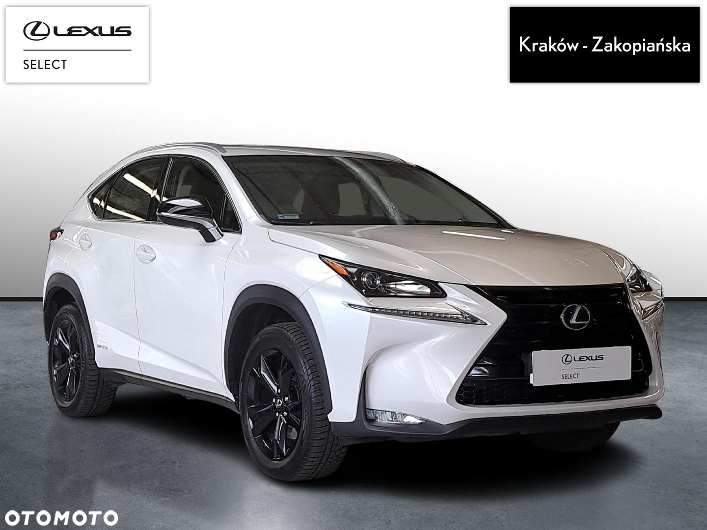 Lexus NX - 3