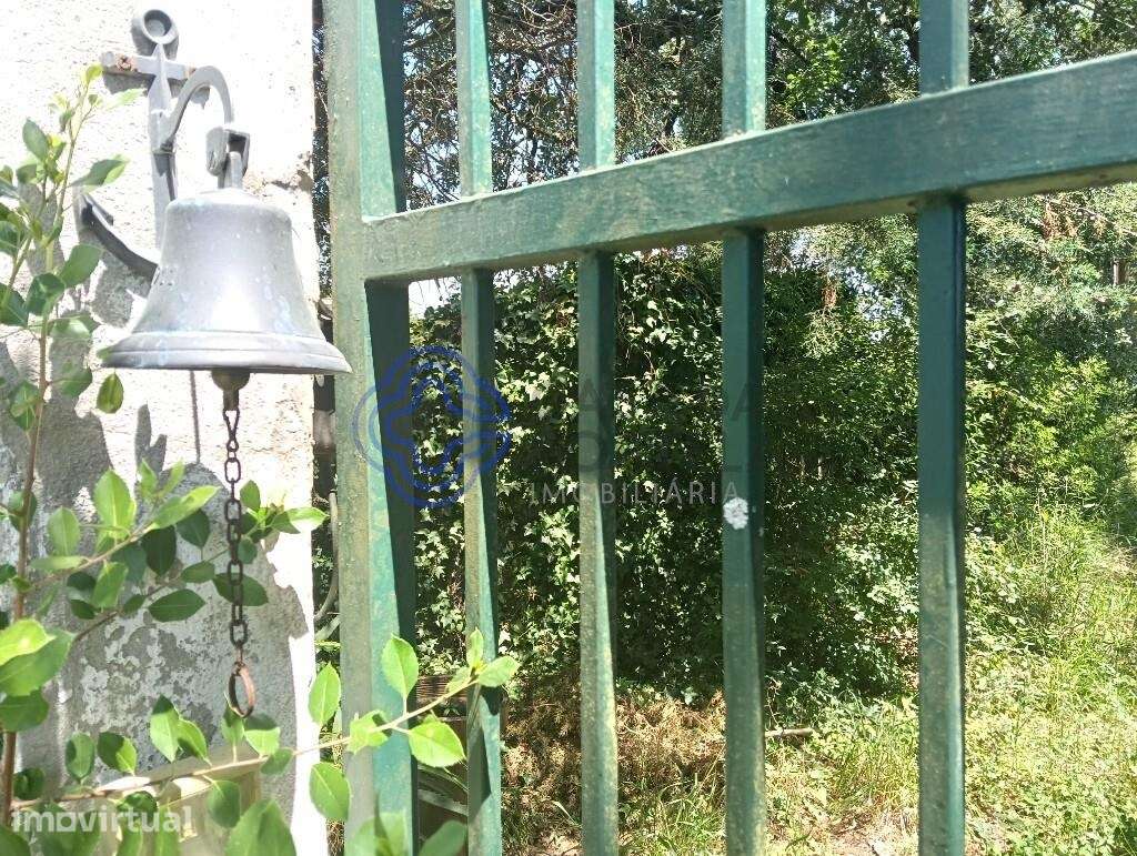 Moinho e vista na Costa da Prata - Grande imagem: 5/24
