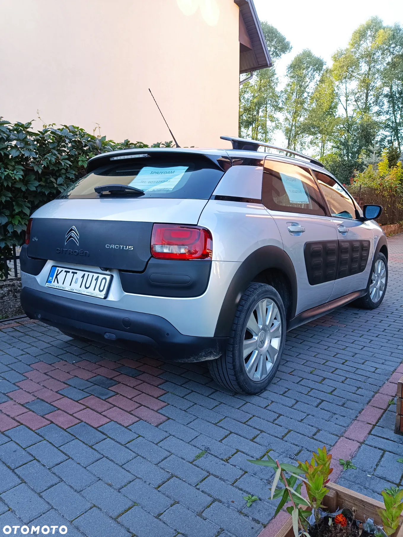 Citroën C4 Cactus 1.2 PureTech Feel Edition - 2