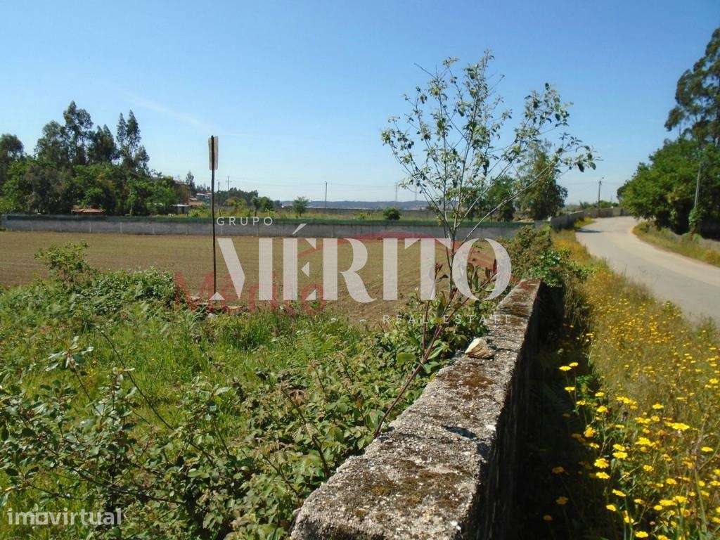 Terreno para construção  em Paradela S.Martinho de Bougado-  Trofa - Grande imagem: 5/13