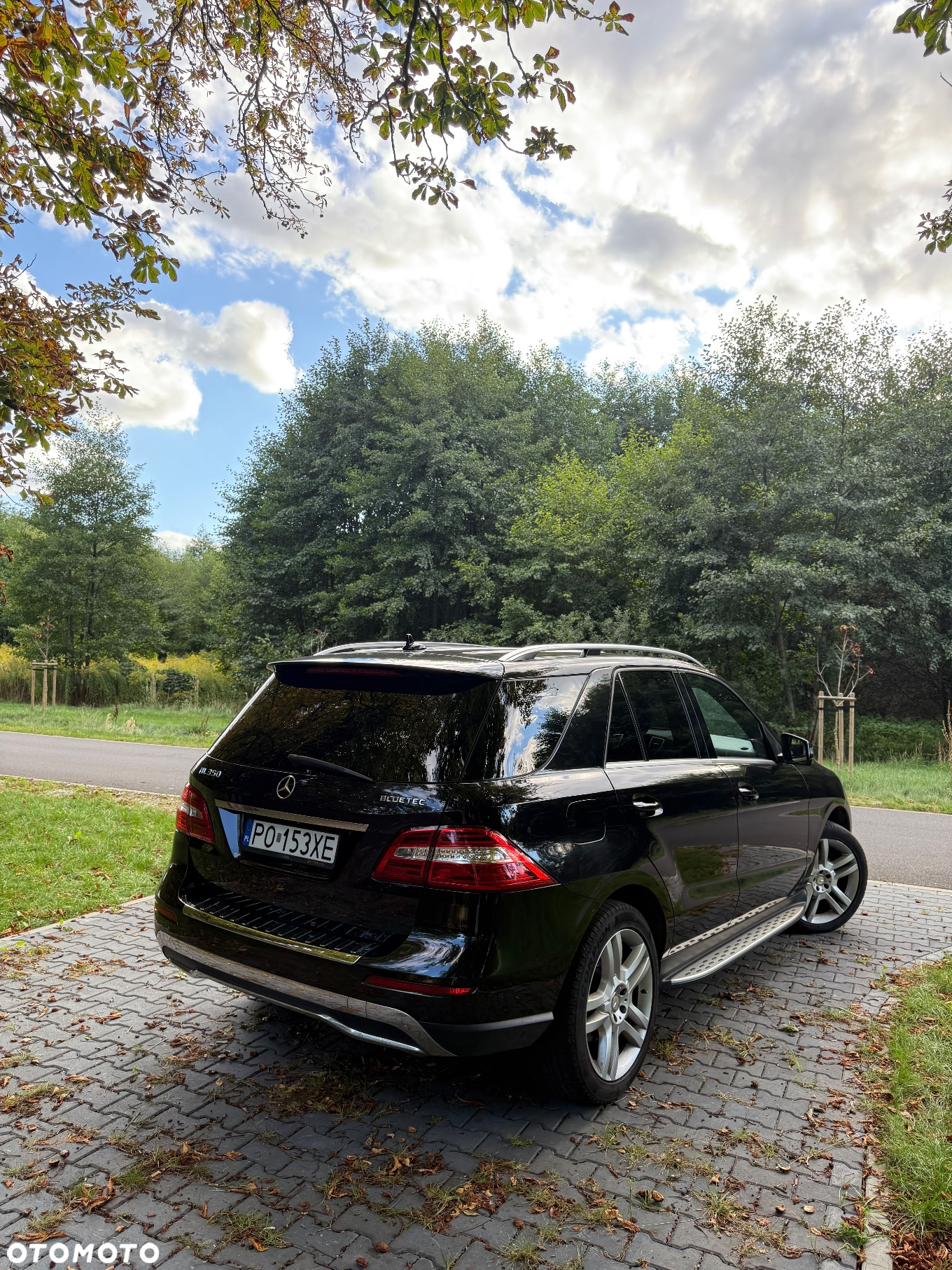 Mercedes-Benz ML 350 BlueTec 4-Matic - 6