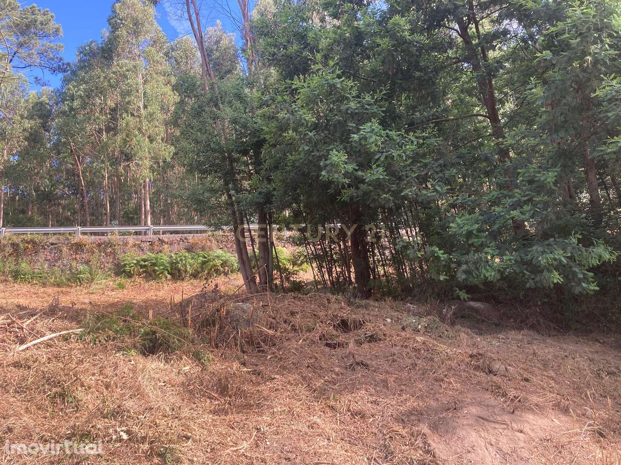 Terreno Rústico à Venda em Oldrões, Penafiel - Grande imagem: 3/24