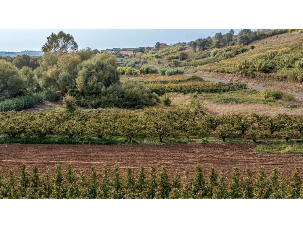 Terreno Rústico ' Franca' - Grande imagem: 4/7