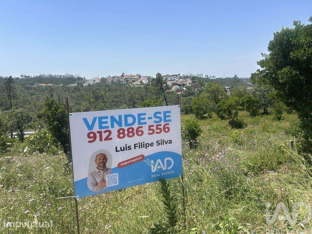 Terreno Agrícola em Pombal - Grande imagem: 4/12