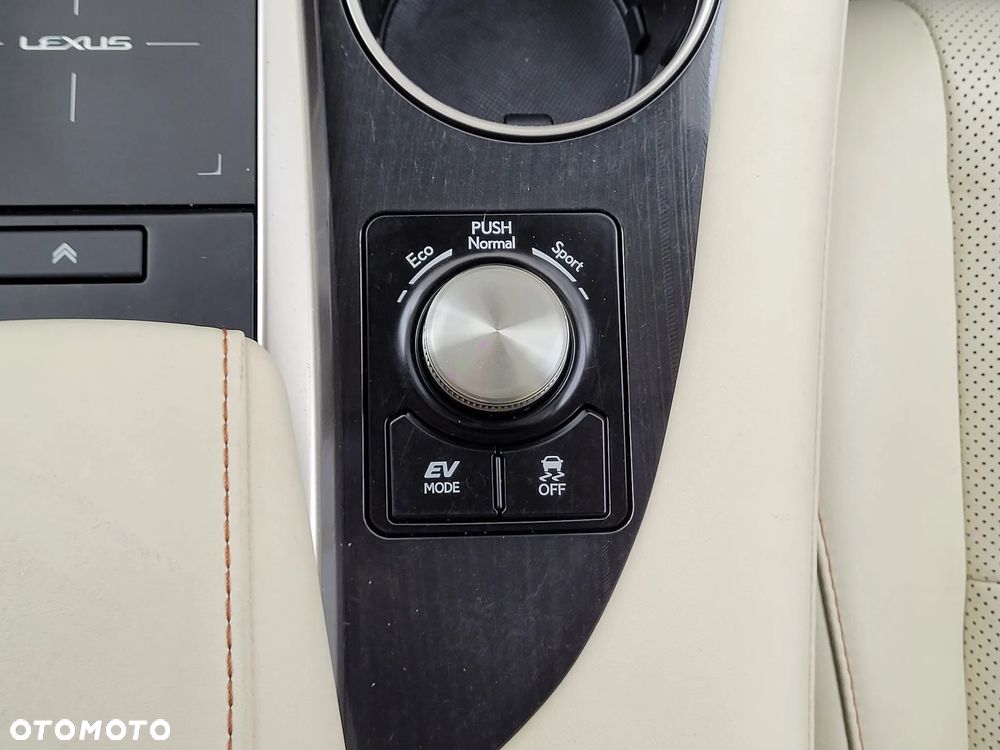 Lexus RX 450h F-Impression - 26