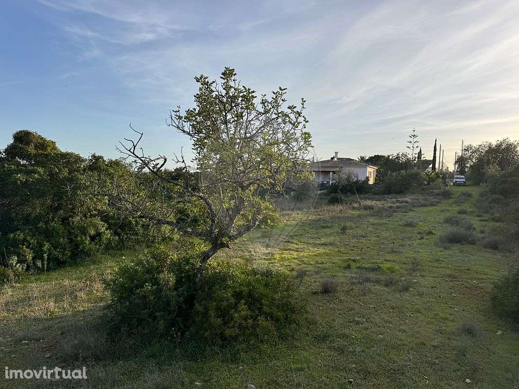 Terreno  para venda - Grande imagem: 5/16