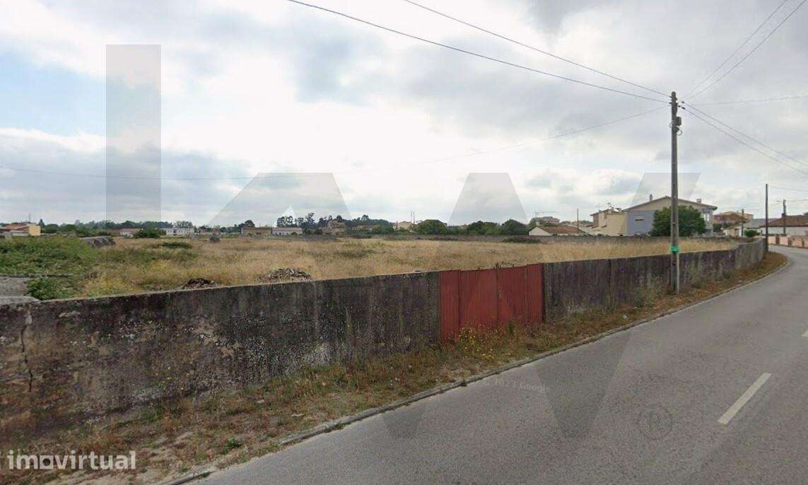 Terreno no Coração de Mira om 7560m2 - Grande imagem: 3/3