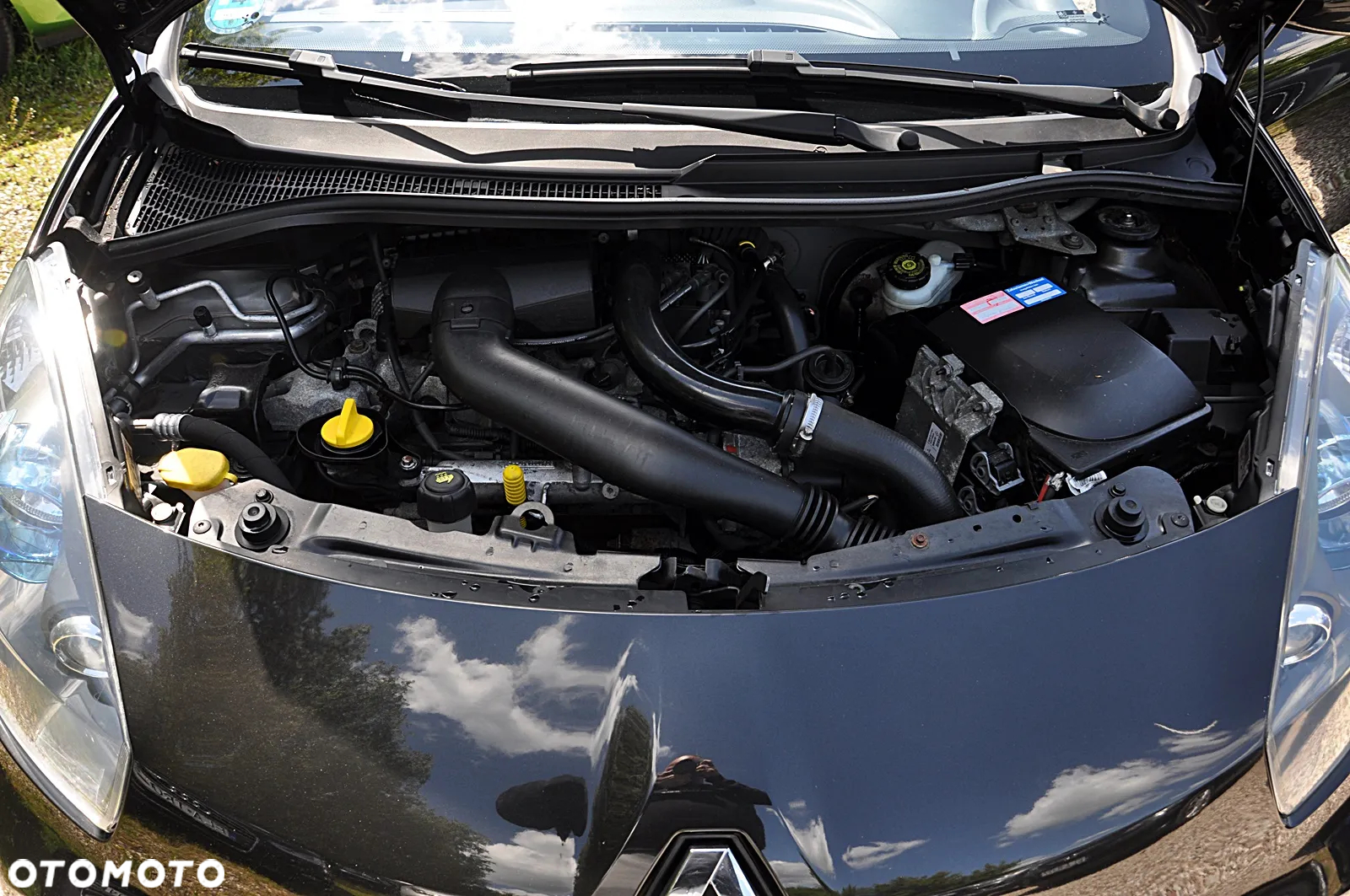 Renault Wind TCe 100 Dynamique - 25