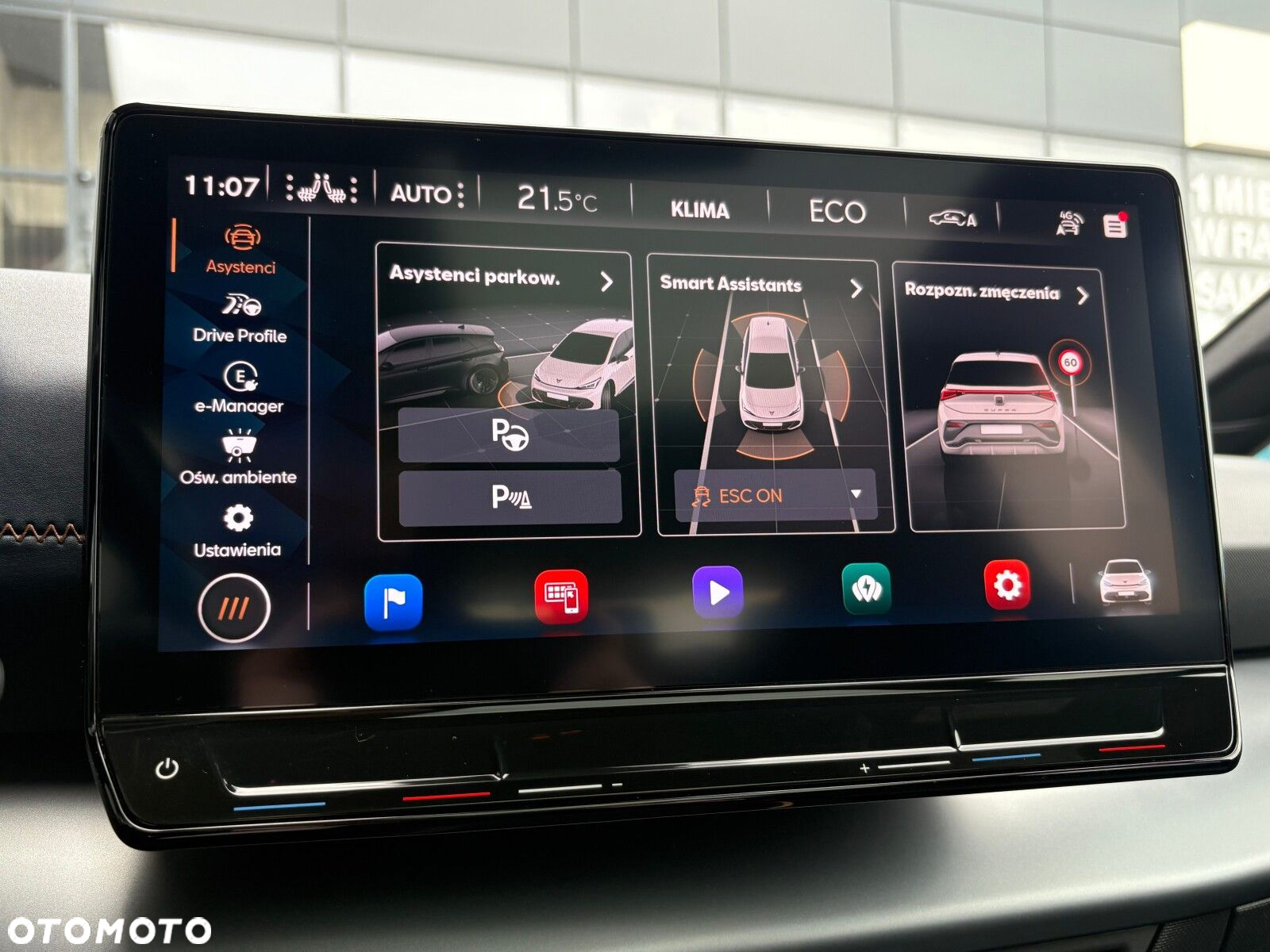 Cupra Born - 30
