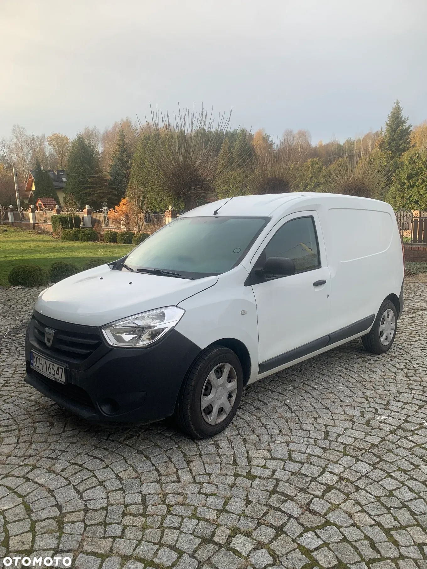 Dacia Dokker van - 1