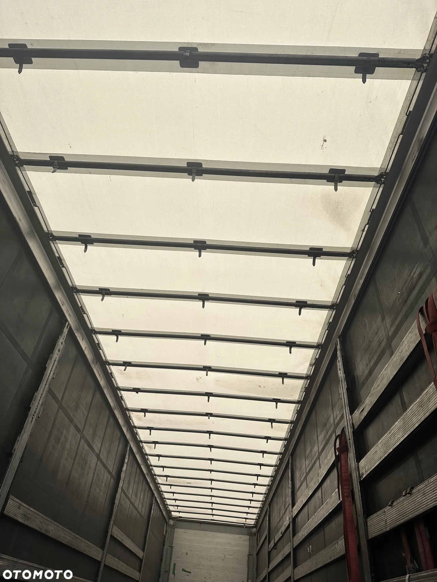 Schmitz Cargobull - 5